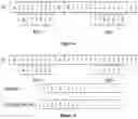 Fig. 06 - METHOD AND APPARATUS FOR THE COMPACT REPRESENTATION OF BIOINFORMATICS DATA USING MULTIPLE GENOMIC DESCRIPTORS