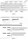 Fig. 27 - METHOD AND APPARATUS FOR THE COMPACT REPRESENTATION OF BIOINFORMATICS DATA USING MULTIPLE GENOMIC DESCRIPTORS
