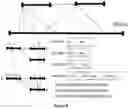 Fig. 29 - METHOD AND APPARATUS FOR THE COMPACT REPRESENTATION OF BIOINFORMATICS DATA USING MULTIPLE GENOMIC DESCRIPTORS
