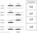 Fig. 07 - METHOD AND SYSTEMS FOR THE EFFICIENT COMPRESSION OF GENOMIC SEQUENCE READS