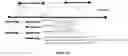 Fig. 11 - METHOD AND SYSTEMS FOR THE EFFICIENT COMPRESSION OF GENOMIC SEQUENCE READS