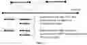 Fig. 12 - METHOD AND SYSTEMS FOR THE EFFICIENT COMPRESSION OF GENOMIC SEQUENCE READS