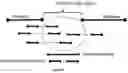 Fig. 17 - METHOD AND SYSTEMS FOR THE EFFICIENT COMPRESSION OF GENOMIC SEQUENCE READS