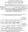 Fig. 24 - METHOD AND SYSTEM FOR THE TRANSMISSION OF BIOINFORMATICS DATA