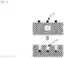 Fig. 02 - Processing system for a catalytic layer of a noble metal formed on a surface of a substrate