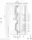 Fig. 06 - Display device and method of manufacturing the same