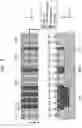 Fig. 03 - Integrated circuit including multiple-height cell and method of manufacturing the integrated circuit