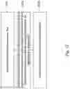 Fig. 13 - Semiconductor device and method for manufacturing the same