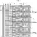 Fig. 05 - DRIVE CIRCUIT, MATRIX SUBSTRATE, AND DISPLAY DEVICE