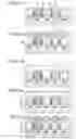 Fig. 07 - Solid-state imaging device and method of producing solid-state imaging device
