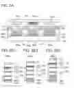 Fig. 03 - Light-emitting device and display device