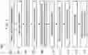 Fig. 02 - Semiconductor structure for flash memory cells and method of making same
