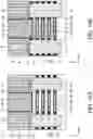 Fig. 17 - Semiconductor device and method of manufacturing the same