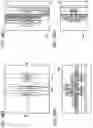 Fig. 49 - Semiconductor device and method for manufacturing semiconductor device