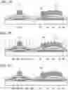 Fig. 08 - Manufacturing method of semiconductor device