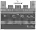 Fig. 01 - Spin to photon transducer
