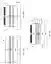 Fig. 29 - LED sidewall processing to mitigate non-radiative recombination