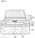 Fig. 17 - Light emitting device and light emitting device package