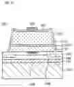 Fig. 20 - Light emitting device and light emitting device package