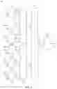 Fig. 09 - Josephson junction circuits for single-photon optoelectronic neurons and synapses