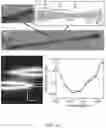 Fig. 45 - Josephson junction circuits for single-photon optoelectronic neurons and synapses