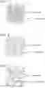 Fig. 03 - Magnetoresistance effect element