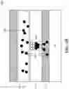 Fig. 06 - Semiconductor device and method for manufacturing the same