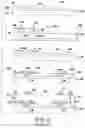 Fig. 03 - Selective surface modification of OTFT source/drain electrode by ink jetting F4TCNQ