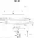 Fig. 22 - Display device and method of manufacturing the same