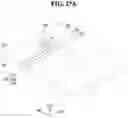 Fig. 29 - Display device and method of manufacturing the same