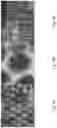 Fig. 06 - Battery having separator including mesoporous silica thin film positioned on macroporous substrate