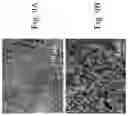 Fig. 10 - Battery having separator including mesoporous silica thin film positioned on macroporous substrate