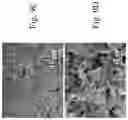 Fig. 11 - Battery having separator including mesoporous silica thin film positioned on macroporous substrate