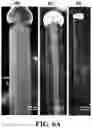 Fig. 14 - Porous wire-in-tube structures