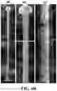 Fig. 15 - Porous wire-in-tube structures