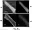 Fig. 21 - Porous wire-in-tube structures
