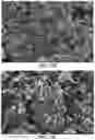 Fig. 26 - Layered high capacity electrodes