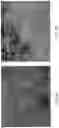 Fig. 12 - Nanostructured materials for battery applications