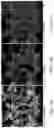 Fig. 20 - Nanostructured materials for battery applications