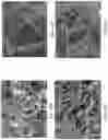 Fig. 27 - Nanostructured materials for battery applications