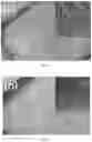 Fig. 05 - Dual electron-ion conductive polymer composite