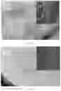 Fig. 06 - Dual electron-ion conductive polymer composite