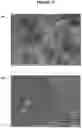Fig. 12 - Electrode materials and processes for their preparation