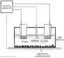 Fig. 01 - Catalyst for solid polymer fuel cells and method for manufacturing the same