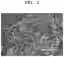 Fig. 03 - Sulfide-based solid electrolyte for lithium battery, method of preparing the same, and lithium battery including the sulfide-based solid electrolyte