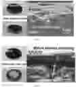 Fig. 03 - Rapid Thermal Annealing of Cathode-Electrolyte Interface for High-Temperature Solid-State Batteries