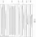 Fig. 06 - Antenna array module and manufacturing method thereof