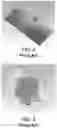 Fig. 03 - Millimeter wave antenna