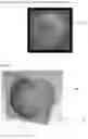 Fig. 06 - Antenna and method of manufacture thereof