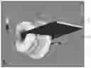 Fig. 01 - Millimeter wave array antenna and mobile terminal